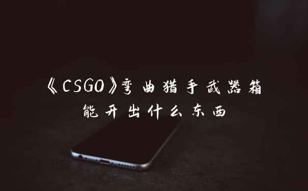 《CSGO》弯曲猎手武器箱能开出什么东西