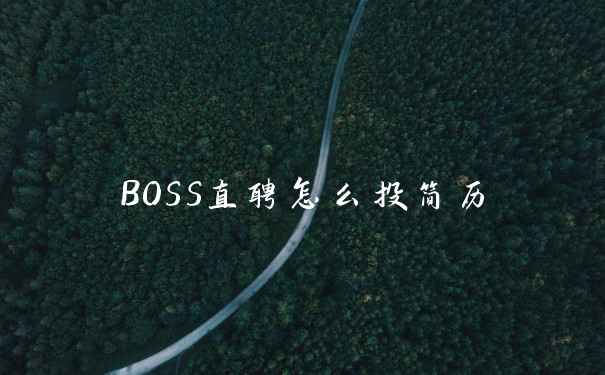 BOSS直聘怎么投简历