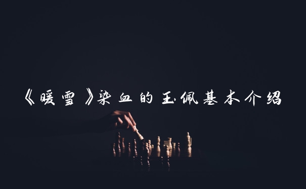 《暖雪》染血的玉佩基本介绍