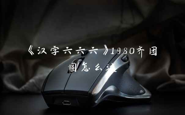 《汉字六六六》1980齐团圆怎么过