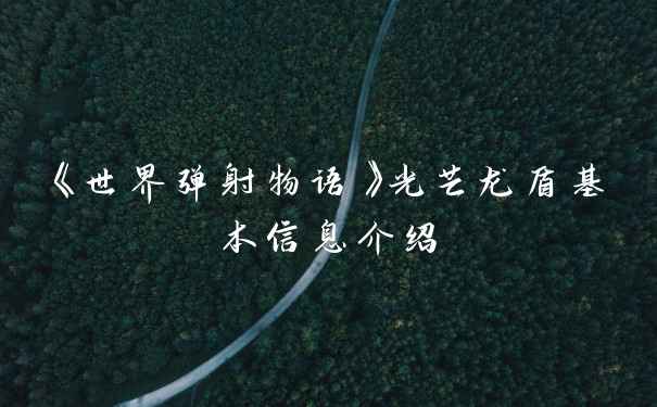 《世界弹射物语》光芒龙盾基本信息介绍