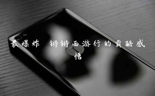 最爆炸 锵锵西游行的霸酷感悟