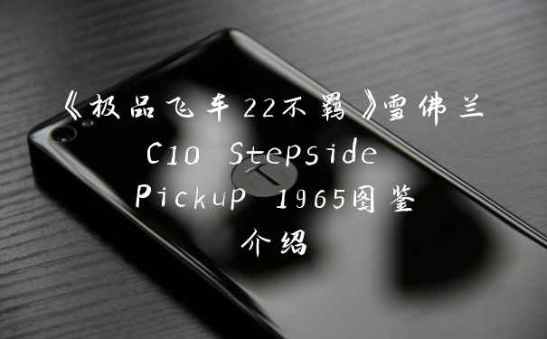 《极品飞车22不羁》雪佛兰C10 Stepside Pickup 1965图鉴介绍