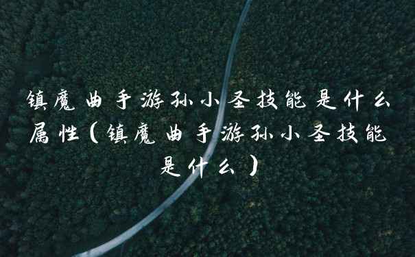 镇魔曲手游孙小圣技能是什么属性（镇魔曲手游孙小圣技能是什么）