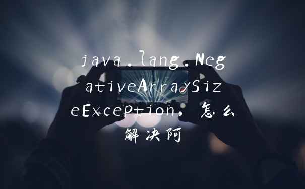 java.lang.NegativeArraySizeException，怎么解决阿
