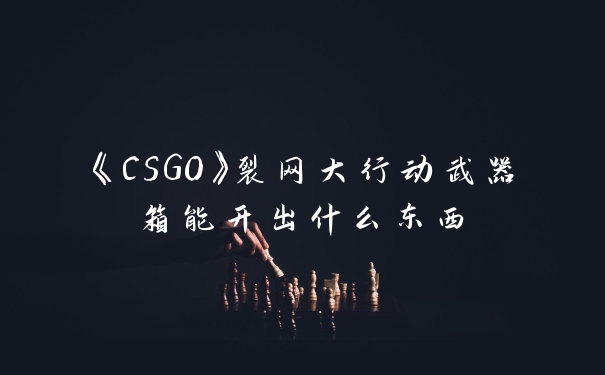 《CSGO》裂网大行动武器箱能开出什么东西