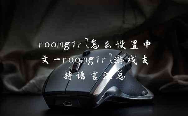 roomgirl怎么设置中文-roomgirl游戏支持语言汇总