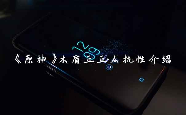 《原神》木盾丘丘人抗性介绍