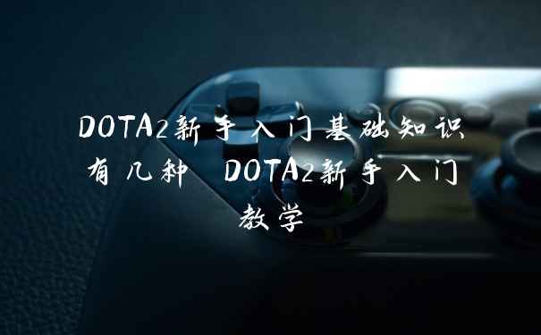 DOTA2新手入门基础知识有几种 DOTA2新手入门教学