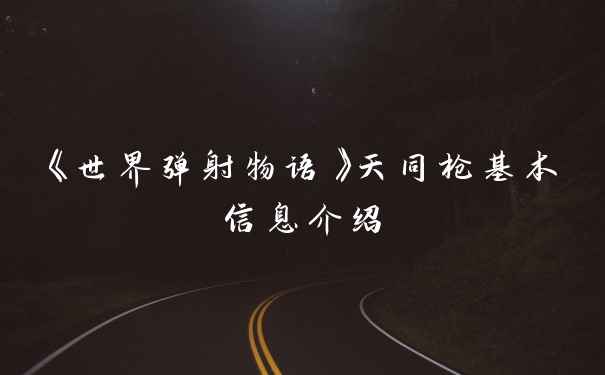 《世界弹射物语》天同枪基本信息介绍