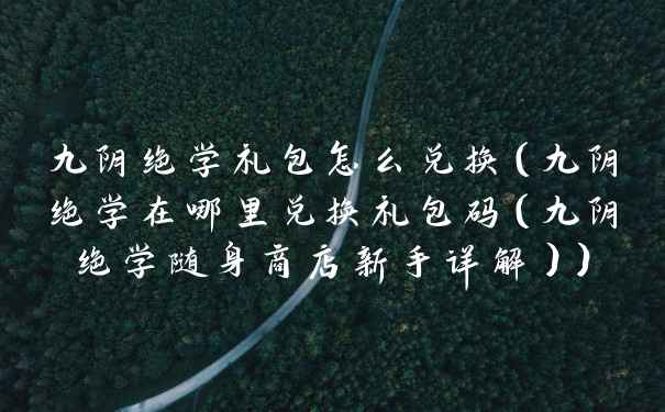 九阴绝学礼包怎么兑换（九阴绝学在哪里兑换礼包码（九阴绝学随身商店新手详解））