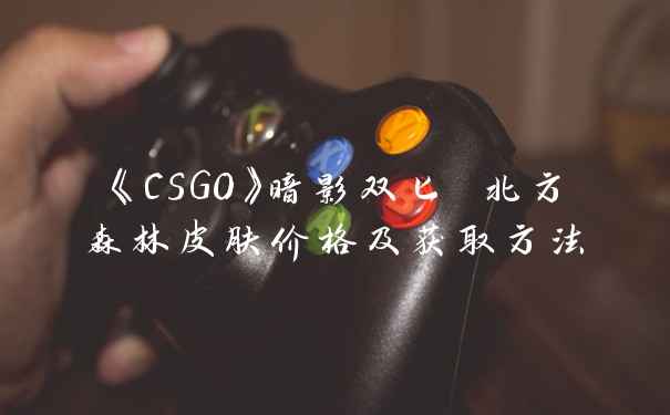 《CSGO》暗影双匕 北方森林皮肤价格及获取方法
