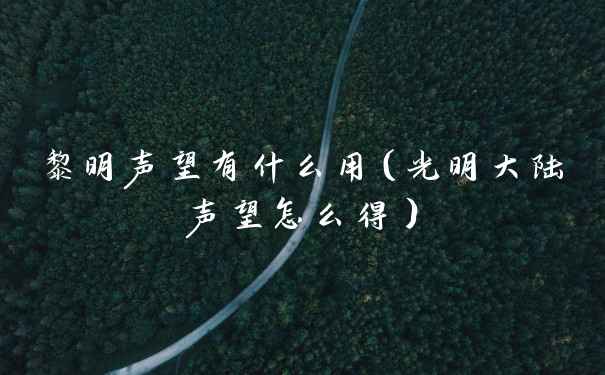 黎明声望有什么用（光明大陆声望怎么得）