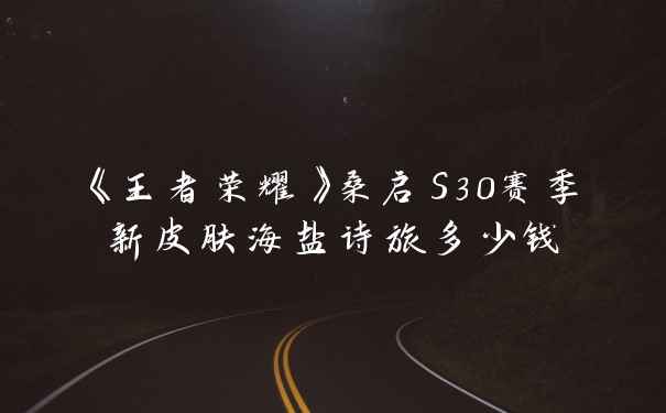 《王者荣耀》桑启S30赛季新皮肤海盐诗旅多少钱