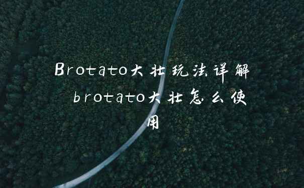 Brotato大壮玩法详解 brotato大壮怎么使用