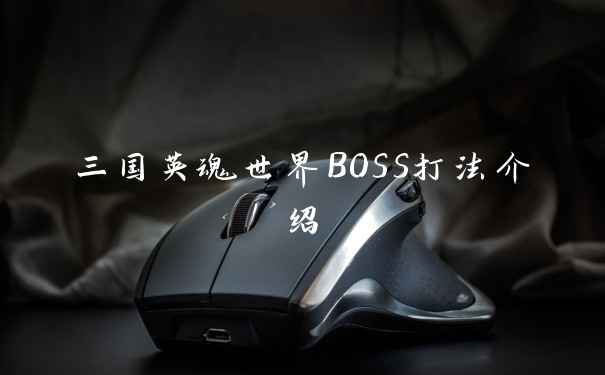 三国英魂世界BOSS打法介绍