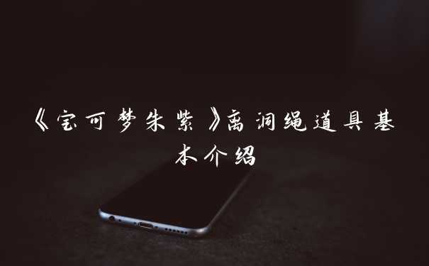 《宝可梦朱紫》离洞绳道具基本介绍