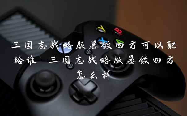 三国志战略版暴敛四方可以配给谁 三国志战略版暴敛四方怎么样