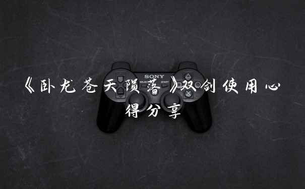 《卧龙苍天陨落》双剑使用心得分享