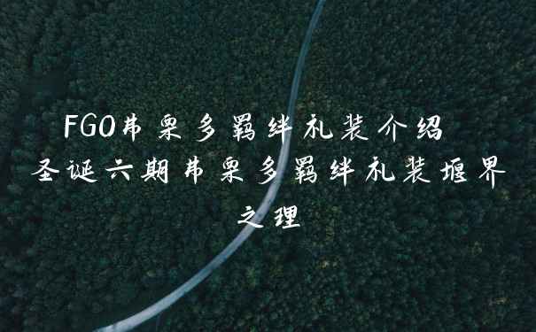 FGO弗栗多羁绊礼装介绍 圣诞六期弗栗多羁绊礼装堰界之理
