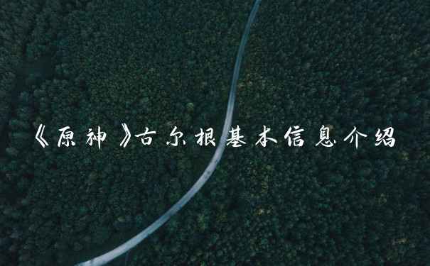 《原神》古尔根基本信息介绍