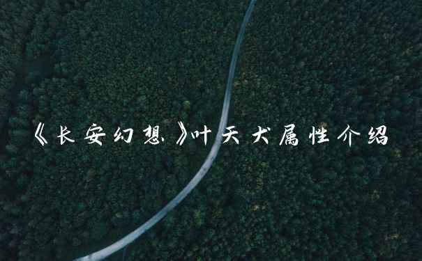 《长安幻想》叶天犬属性介绍