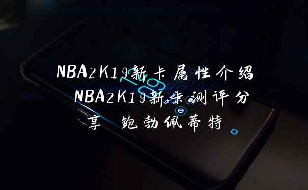 NBA2K19新卡属性介绍 NBA2K19新卡测评分享 鲍勃佩蒂特