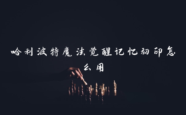 哈利波特魔法觉醒记忆初印怎么用