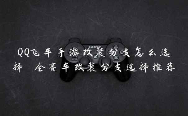 QQ飞车手游改装分支怎么选择 全赛车改装分支选择推荐