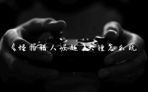 《怪物猎人崛起》大锤怎么玩