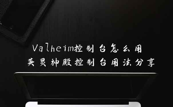 Valheim控制台怎么用 英灵神殿控制台用法分享