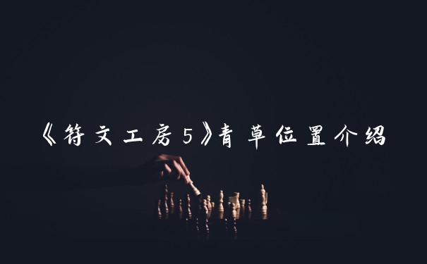 《符文工房5》青草位置介绍