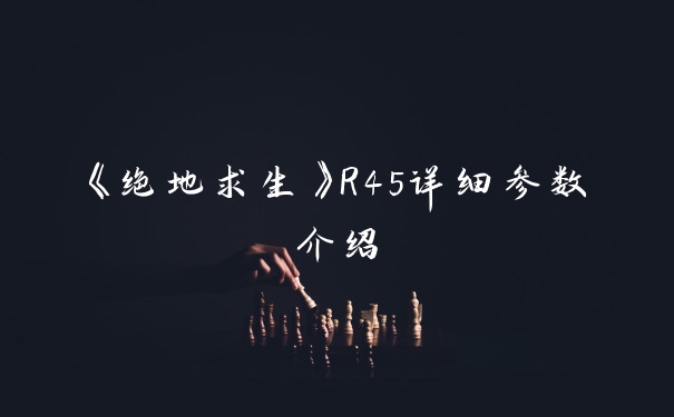 《绝地求生》R45详细参数介绍