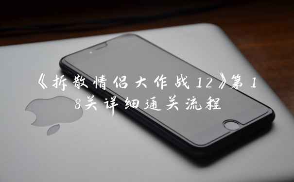 《拆散情侣大作战12》第18关详细通关流程