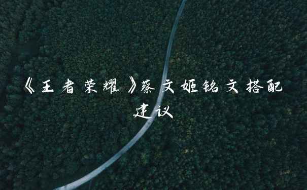 《王者荣耀》蔡文姬铭文搭配建议