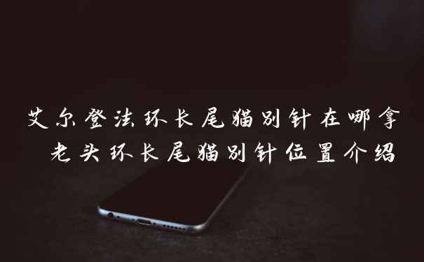 艾尔登法环长尾猫别针在哪拿 老头环长尾猫别针位置介绍