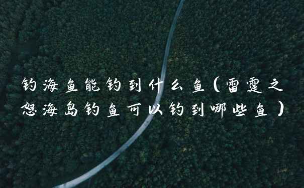 钓海鱼能钓到什么鱼（雷霆之怒海岛钓鱼可以钓到哪些鱼）