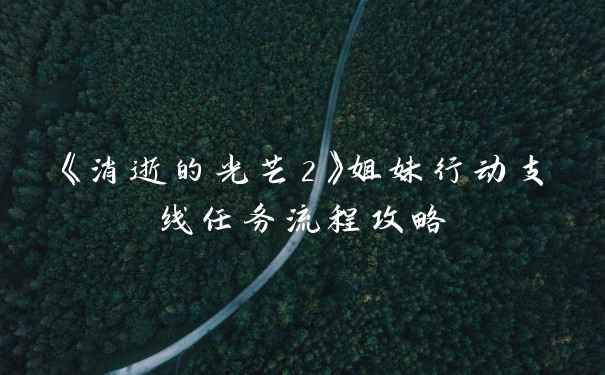 《消逝的光芒2》姐妹行动支线任务流程攻略