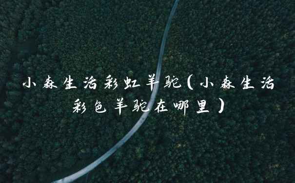 小森生活彩虹羊驼(小森生活彩色羊驼在哪里)