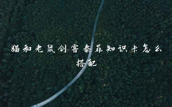 猫和老鼠剑客泰菲知识卡怎么搭配