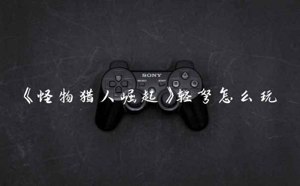 《怪物猎人崛起》轻弩怎么玩