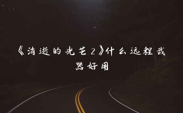 《消逝的光芒2》什么远程武器好用