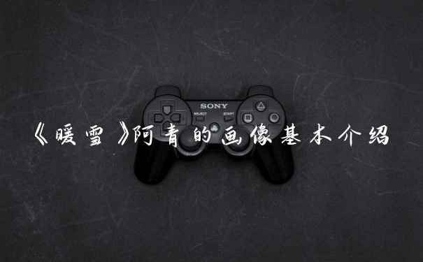 《暖雪》阿青的画像基本介绍