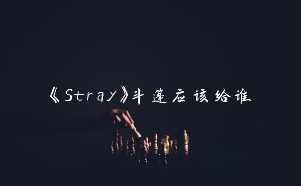 《Stray》斗篷应该给谁