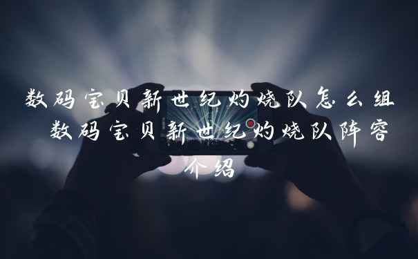 数码宝贝新世纪灼烧队怎么组 数码宝贝新世纪灼烧队阵容介绍