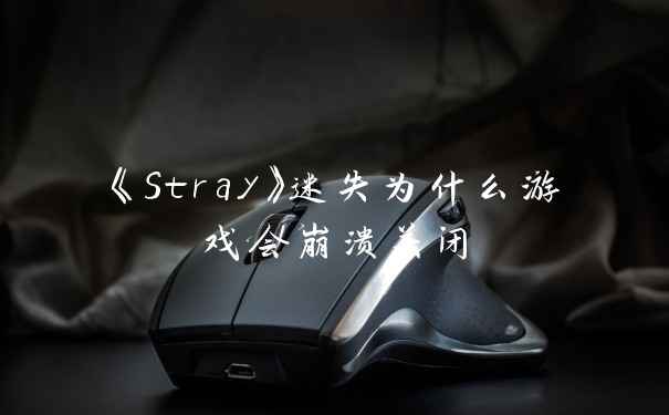 《Stray》迷失为什么游戏会崩溃关闭