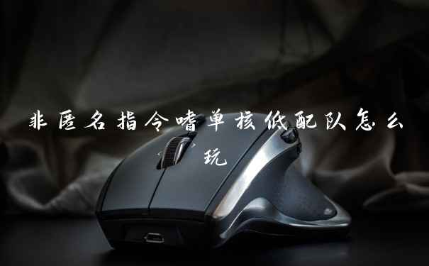 非匿名指令嗜单核低配队怎么玩