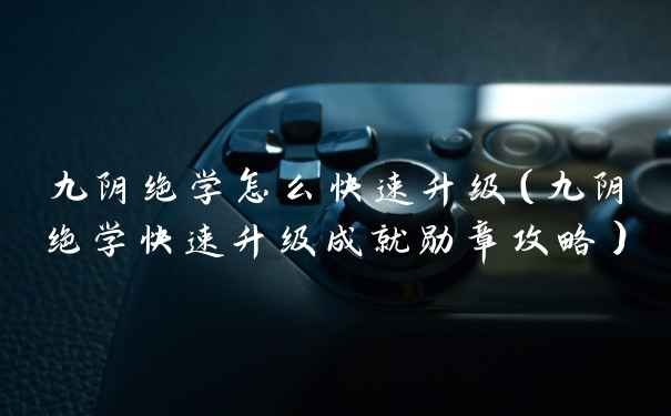 九阴绝学怎么快速升级(九阴绝学快速升级成就勋章攻略)