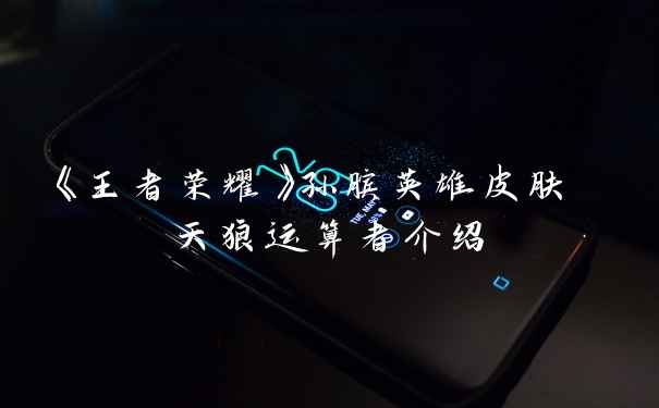 《王者荣耀》孙膑英雄皮肤 天狼运算者介绍