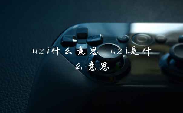 uzi什么意思 uzi是什么意思